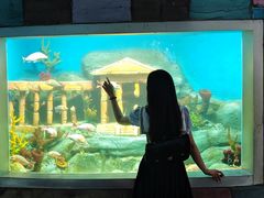 -合肥海洋世界