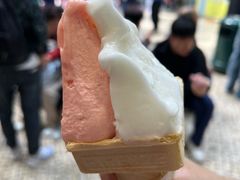 -柠檬车露(卖草地店)