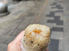 -范嬢嬢春森路糯米团