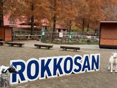 -神户市立六甲山牧场