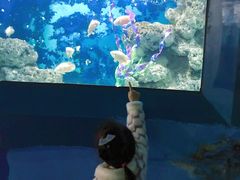 -苏州海洋馆