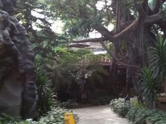 android_upload_pic-龙达温泉生态城