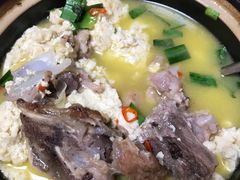 -全乐鱼馆·淳牌有机鱼直营店