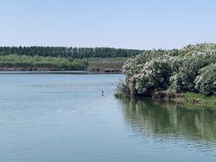 -丁香湖公园