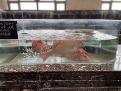 -宴周康·精致江浙菜(周浦店)