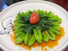 舍得-宋宴(虎跑店)