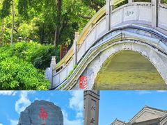 -广东惠东海龟国家级自然保护区