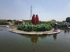 -白洋淀景区