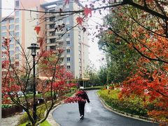 -梧桐人家中国太平国际健康颐养社区