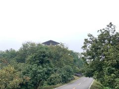 -张坝桂圆林公园