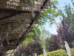 -西安汉城湖景区