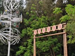 -北海金海湾红树林生态旅游区