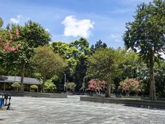 -水濂山森林公园