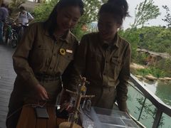 -杭州开元森泊度假乐园