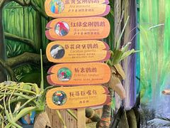 -海合安武汉极地海洋公园