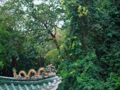 -广州市白云山风景名胜区