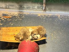 -常州海昌海洋探索馆