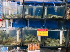 -蚝专家(北滘店)