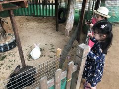 -三亚御海棠豪华精选度假酒店