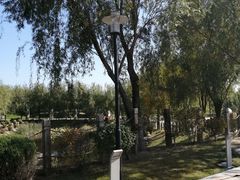 -莫子山公园
