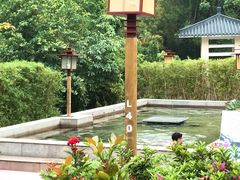 -江门古兜温泉小镇