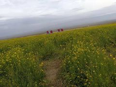 -青海湖国家重点风景名胜区