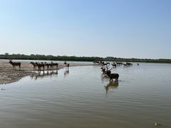 -宁波杭州湾国家湿地公园
