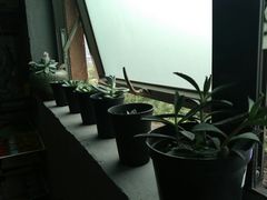 -黑骏画室·深圳美术中高考黄埔军校