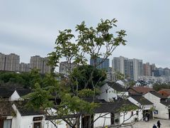 -青果巷历史文化街区