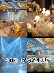 -曼格纳婚礼艺术中心(张江店)