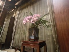 -乌镇望津里精品酒店