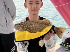 -小猫钓鱼海钓俱乐部(椰梦长廊店)