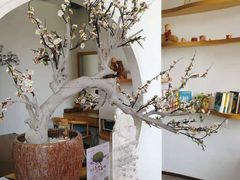 -不凡脑禅境·养生·舒压调理SPA(华发世纪城店)