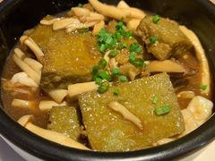 -南枝记