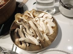 -菌小白火锅(时尚天河店)