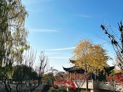 -枫桥景区