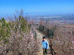 -阳台山自然风景区