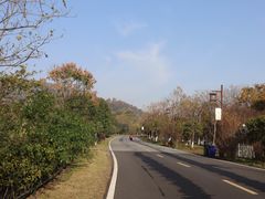 -习家池