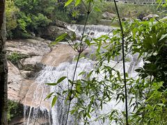 -海南热带雨林国家公园吊罗山景区