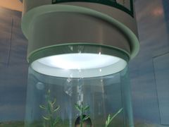 -辽宁古生物博物馆
