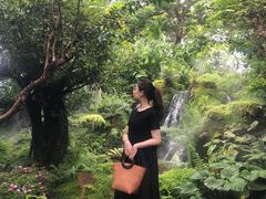 -Chom Cafe and Restaurant