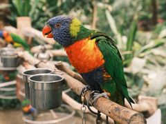 -南宫五洲植物乐园