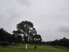 -艾溪湖湿地公园