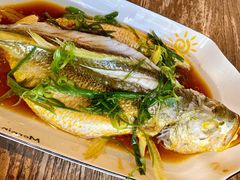 南海大黄花鱼-鲜小岛·铜锅涮肉
