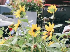 -老友王·南宁特色菜(金汇如意坊店)
