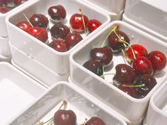 -碧涛阁·泡泡海洋·汤泉洗浴(王府花园店)