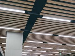 -首都图书馆-咖啡厅