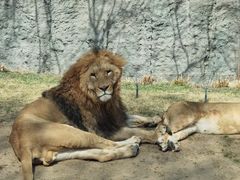 -北京野生动物园