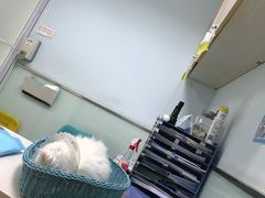 -纳吉亚猫专科动物医院博雅分院