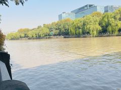 -运河游船(武林门码头)